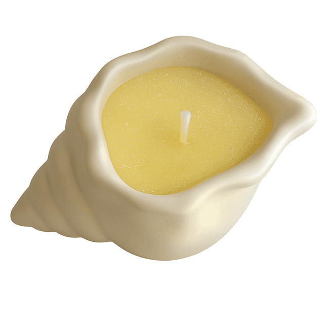 Small Sea Shell Clean Lemon Scented Candle